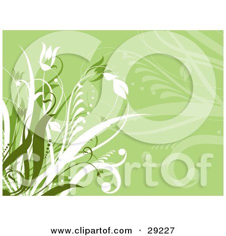 Clipart Illustration of a Light Green Background With Green And White Grasses And Flowers by KJ Pargeter