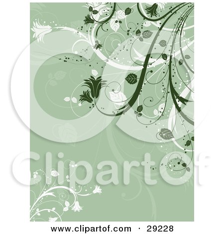Clipart Illustration of a Dark Green And White Flowering Plants Over A Sage Green Background by KJ Pargeter