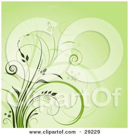 Clipart Illustration of a Green Background With Curly Green Grasses by KJ Pargeter