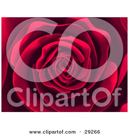 Clipart Illustration of a Background Of A Beautiful Blooming Red Rose With Soft, Perfect Petals by Tonis Pan