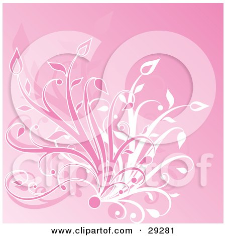 Clipart Illustration of a Bunch Of Pink And White Grasses Growing Over A Pink Background by KJ Pargeter
