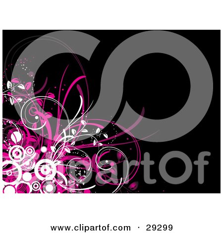 Clipart Illustration of a Cluster Of White Circles With Pink Grasses Over A Black Background by KJ Pargeter