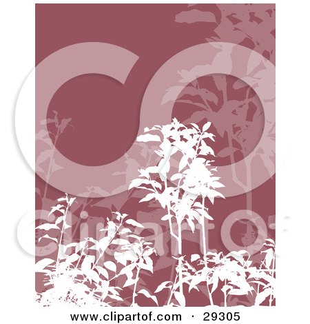 Clipart Illustration of White And Faded Foliage Of Plants Over A Pink Background by KJ Pargeter
