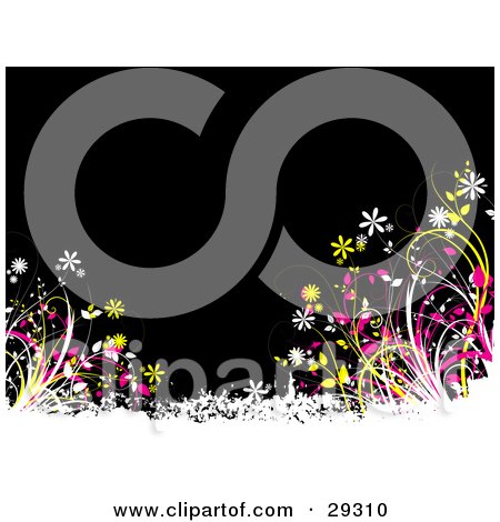Clipart Illustration of White, Yellow And Pink Flowering Plants And Grasses Over White Grunge, Against A Black Background by KJ Pargeter