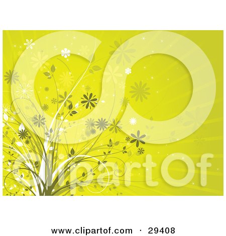 Clipart Illustration of Green And White Flowering Plants Over A Bursting Green And Yellow Background by KJ Pargeter