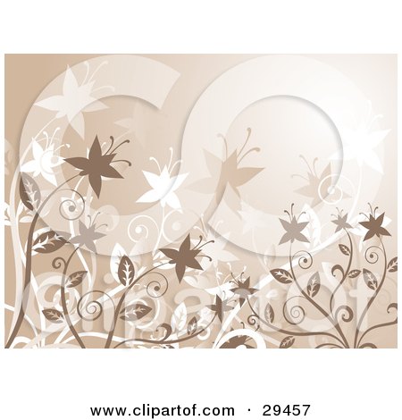 Clipart Illustration of Blooming Brown And White Star Shaped Flowers Over A Brown Background by KJ Pargeter
