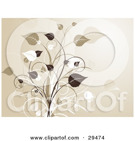 Clipart Illustration of Beige, White And Dark Brown Leafy Plants On A Gradient Background by KJ Pargeter