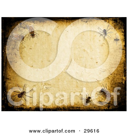 Clipart Illustration of a Textured Background Of Insects Crawling On A Wall, Bordered By Black Grunge by KJ Pargeter