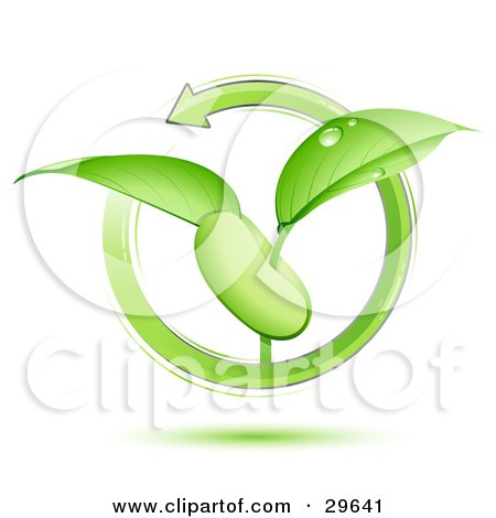 Clipart Illustration of a Green Arrow Circling Around A Green Plant With Dew On The Leaves, Sprouting From A Bean Or Seed by beboy