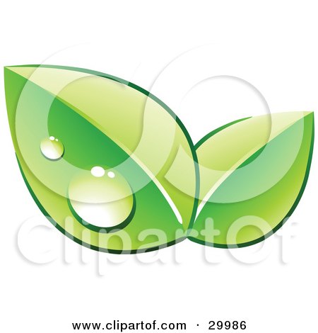 Clipart Illustration of a Pre-Made Logo Of Two Green Dew Covered Leaves by beboy
