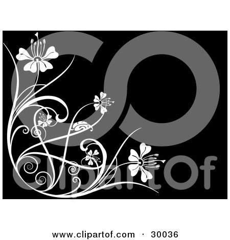 Clipart Illustration of a White Flourish Of Vines And Flowers Over A Black Background by KJ Pargeter