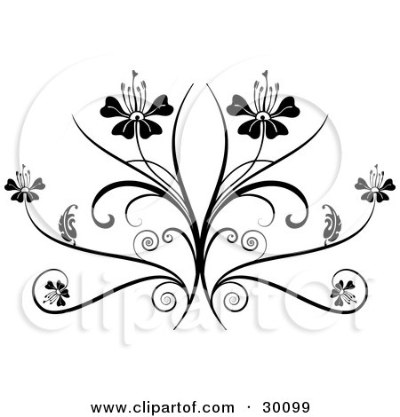 Clipart Illustration of Two Flowers On Top Of An Elegant Black Flourish, On A White Background by KJ Pargeter