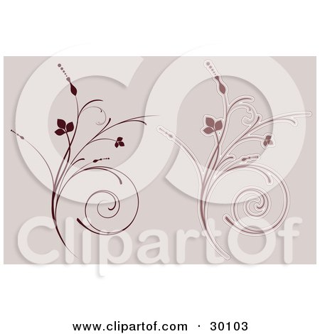 Clipart Illustration of Two Curling Grassy Plant Flourishes In Brown Over A Pale Background by KJ Pargeter