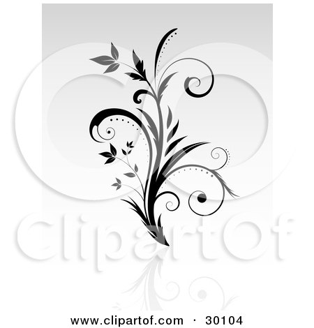 Clipart Illustration of a Curly Leaf Vine On A Reflective Surface by KJ Pargeter
