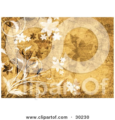Clipart Illustration of White And Brown Flowers On A Yellow Grunge Textured Background by KJ Pargeter