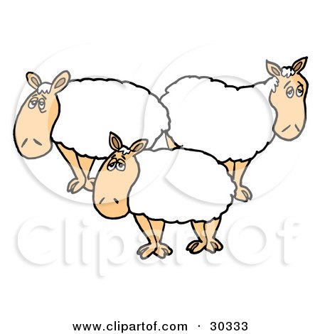 Clipart Illustration of Three White Sheep With Thick Fleece, Standing In A Flock  by LaffToon
