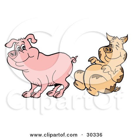 Clipart Illustration of a Dirty Pig Laughing At A Clean Piggy by LaffToon
