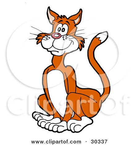 Clipart Illustration of a Happy Orange Cat With White Paws, Cheeks And Belly, Sitting by LaffToon