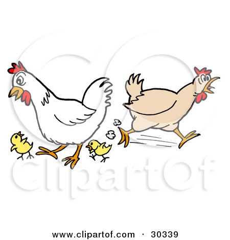 Clipart Illustration of a Rooster And Chicken Running Around With Two Little Chicks by LaffToon