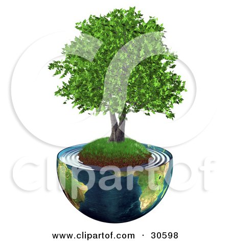 Clipart Illustration of a Realistic 3D Tree With Lush Green Leaves, Growing On A Grassy Hill With Dirt In The Center Of Planet Earth Cut In Half by Frog974