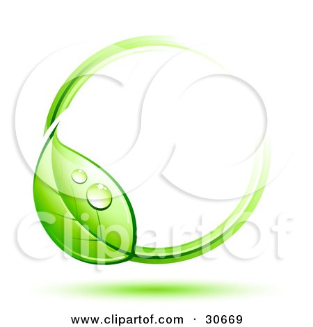 Clipart Illustration of a Dewy Green Vine Circling Around Blank White Space by beboy