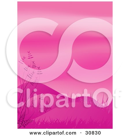 Clipart Illustration of a Hilly Landscape With Ferns And Grasses, Against A Pink Sky by elaineitalia