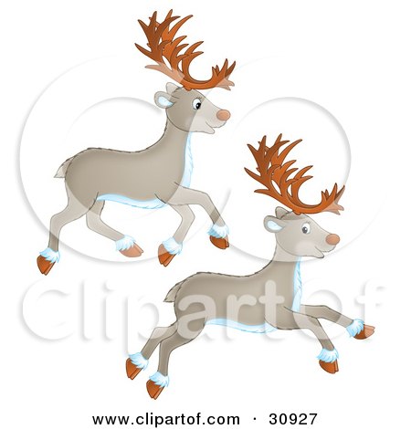 Clipart Illustration of Two Caribou Or Reindeer Running by Alex Bannykh