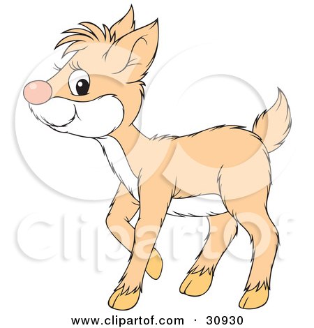 Clipart Illustration of a Pale Deer Fawn With A White Belly by Alex Bannykh
