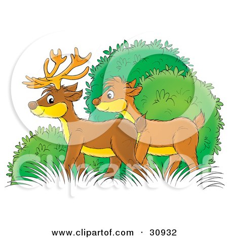 Clipart Illustration of a Male And Female Deer Standing In Bushes by Alex Bannykh