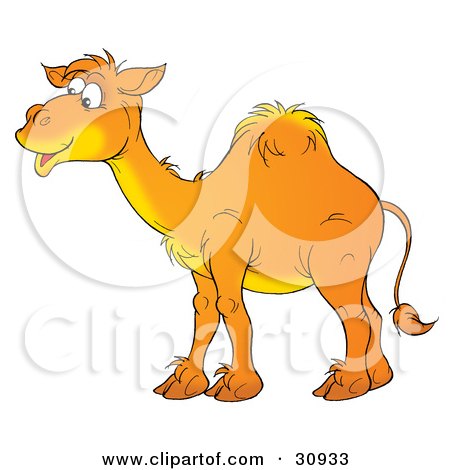 Clipart Illustration of a Happy Arabian Camel With One Hump, Smiling And Standing In Profile by Alex Bannykh