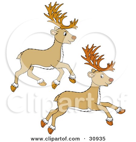 Clipart Illustration of Two Tan Reindeer Leaping And Running by Alex Bannykh