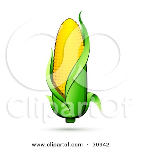 Clipart Illustration of a Golden Ear Of Corn On The Cob With A Green Husk And A Shadow by beboy