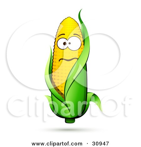 Clipart Illustration of a Nervous Corn On The Cob Character With A Green Husk by beboy