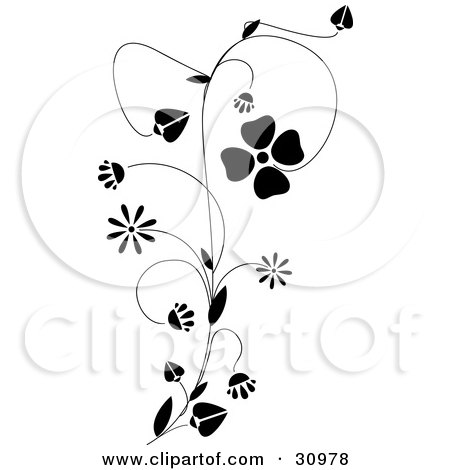 Clipart Illustration of a Black Vine With Delicate Blooming Flowers, Over White by elaineitalia