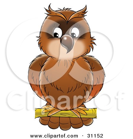 Clipart Illustration of a Perched Brown Owl Looking Off To The Left by Alex Bannykh
