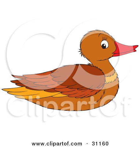 Clipart Illustration of a Brown Female Mallard Duck In Profile by Alex Bannykh