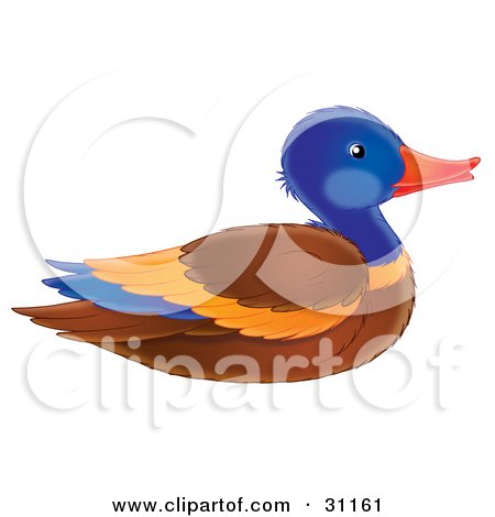 Clipart Illustration of a Colorful Mallard Duck Drake In Profile by Alex Bannykh