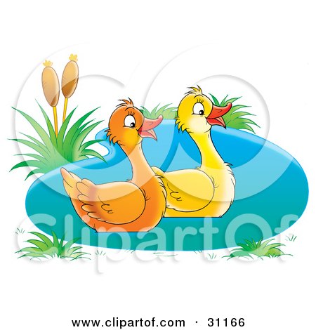 Clipart Illustration of a Pair Of Two Happy Ducks Swimming In A Pond by Alex Bannykh