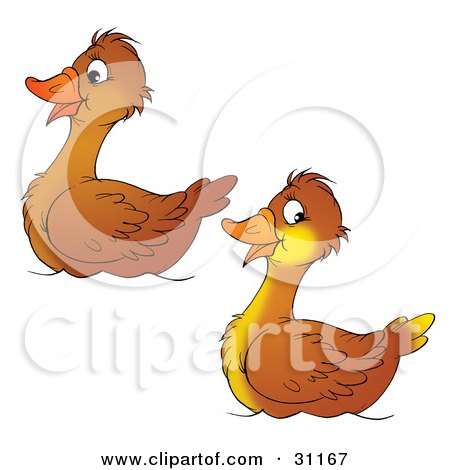 Clipart Illustration of a Pair Of Two Brown Ducks Swimming Together by Alex Bannykh