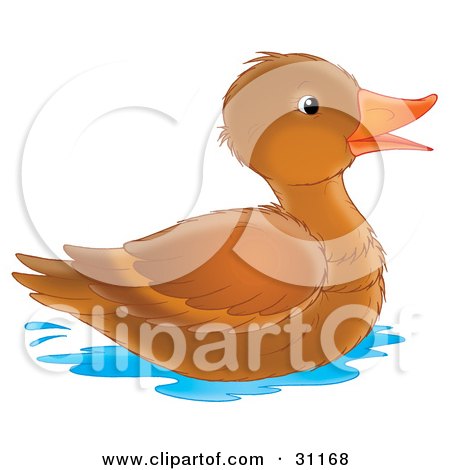 Clipart Illustration of a Happy Brown Duck With An Orange Beak, Swimming by Alex Bannykh