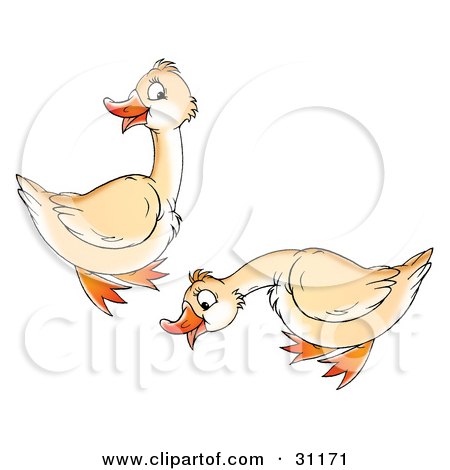 Clipart Illustration of Two Cream Colored Geese by Alex Bannykh
