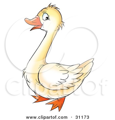 Clipart Illustration of a Cute White Goose With An Orange Beak And Feet by Alex Bannykh