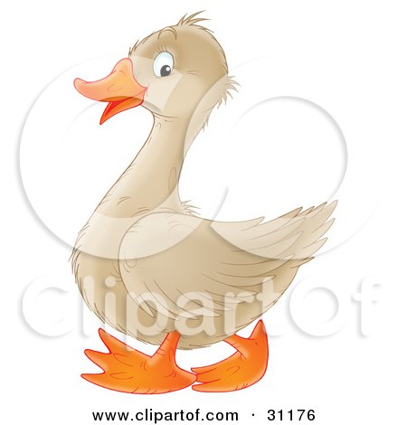 Clipart Illustration of a Happy Beige Goose With An Orange Beak And Feet by Alex Bannykh