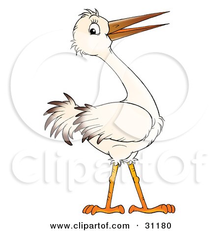 Clipart Illustration of a White Bird With A Long Beak And Brown Tipped Feathers by Alex Bannykh