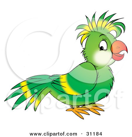 Clipart Illustration of a Friendly Green Parrot With Yellow Lines On His Wing And Head Feathers by Alex Bannykh