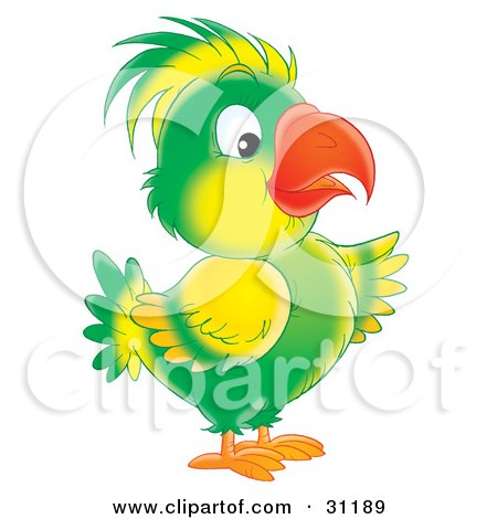 Clipart Illustration of a Green And Yellow Parrot With A Bright Orange Beak by Alex Bannykh