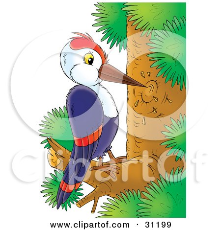 Clipart Illustration of a Blue Woodpecker With White And Red Markings, Pecking At A Tree by Alex Bannykh