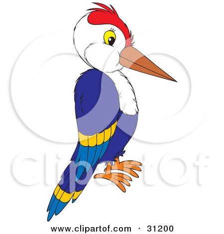 Clipart Illustration of a Blue Woodpecker With A Red Head, In Profile On A White Background by Alex Bannykh