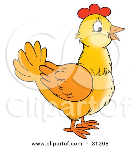 Clipart Illustration of a Yellow Farm Chicken In Profile by Alex Bannykh