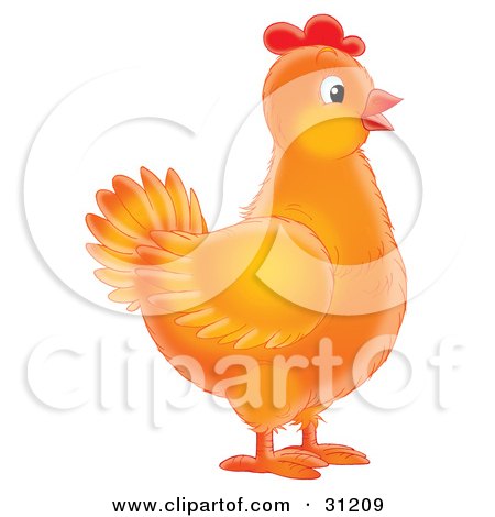 Clipart Illustration of an Orange Female Chicken In Profile by Alex Bannykh